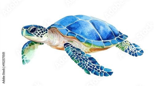 Fototapeta Naklejka Na Ścianę i Meble -  Blue and green watercolor turtle swimming against a white background Hand drawn illustration of aquatic animals