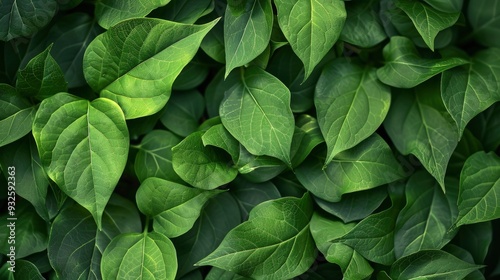 green leaf background , ai