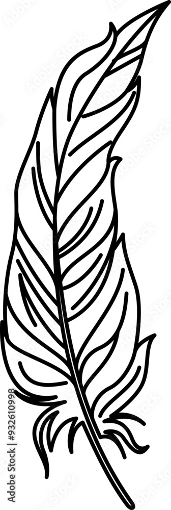 Feathers Decoration Illustration Outline Feathers Decoration Illustration Outline