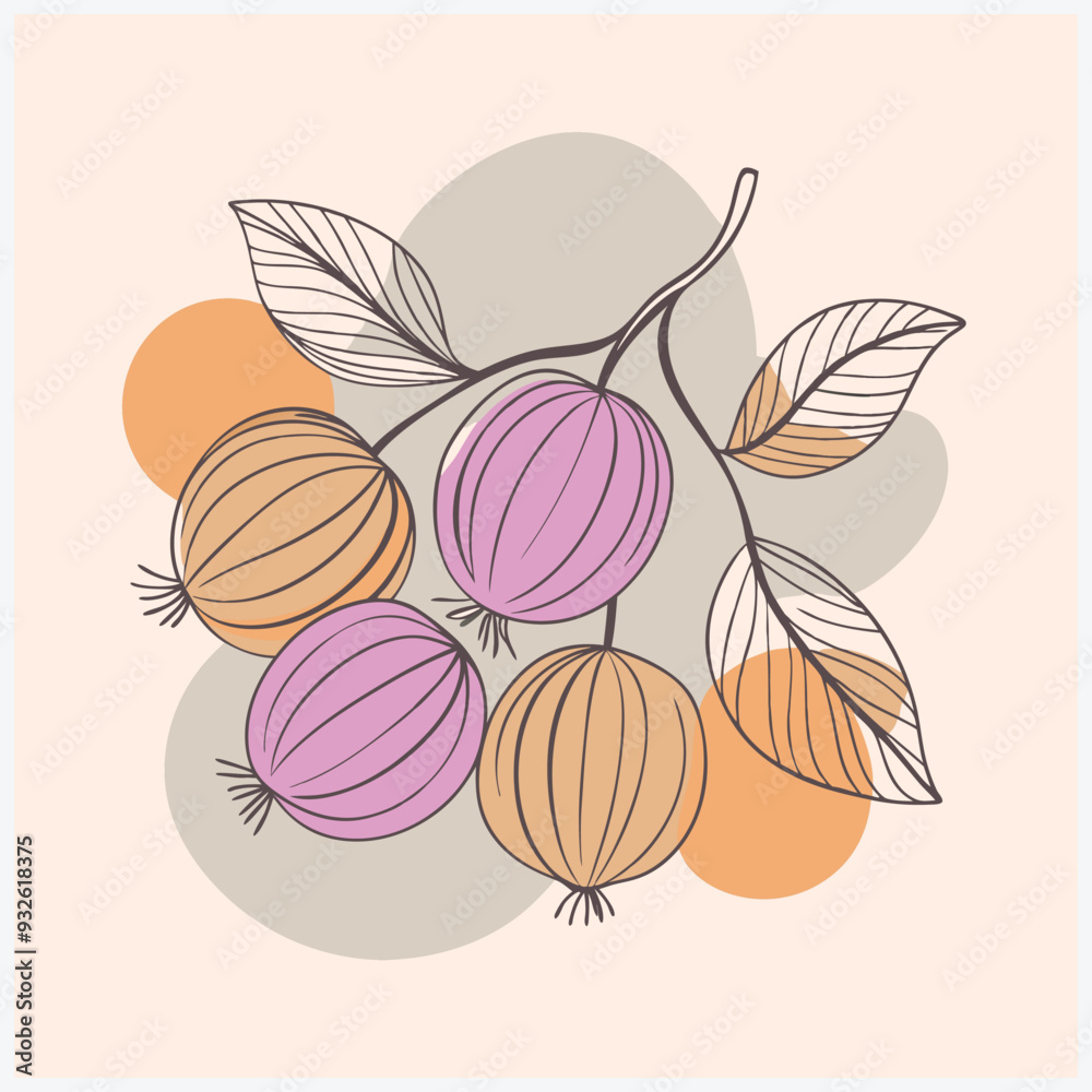 Indian Gooseberry Fruit Vector Illustration