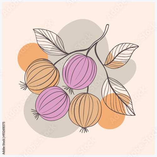Indian Gooseberry Fruit Vector Illustration