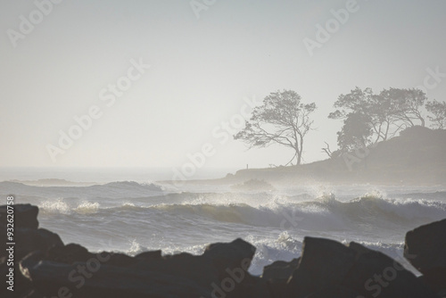 rocky foreground with big waves and trees in fog background at Wooli photo