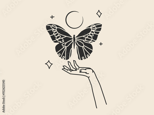 hand drawn butterfly photo