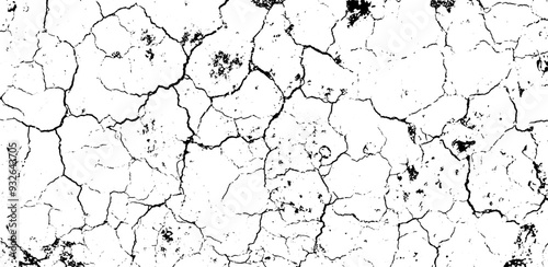 texture of the bark of a tree, old cracked texture, dry land crack texture for overlay,  cracked wall texture grunge background, a black and white photo of a cracked grunge texture, a black and white 