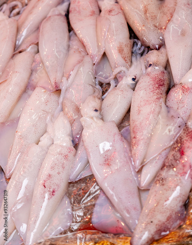 squid for sale in a market