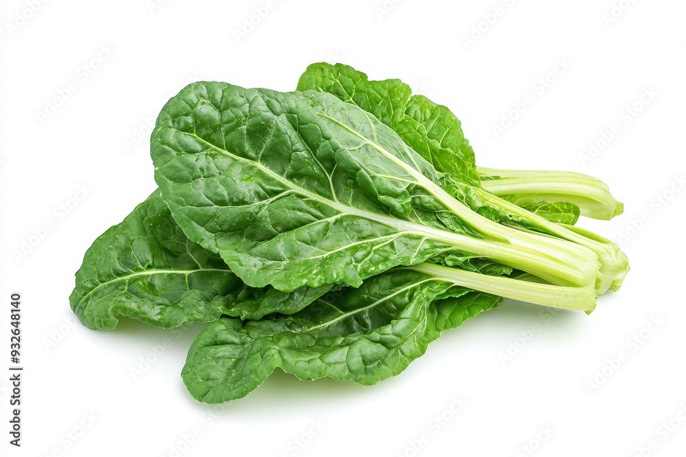 Single green Swiss chard or silverbeet plant with edible leaves ideal for healthy vegan salads isolated on white background Single green Swiss chard or silverbeet plant with edible leaves ideal for healthy vegan salads isolated on white background