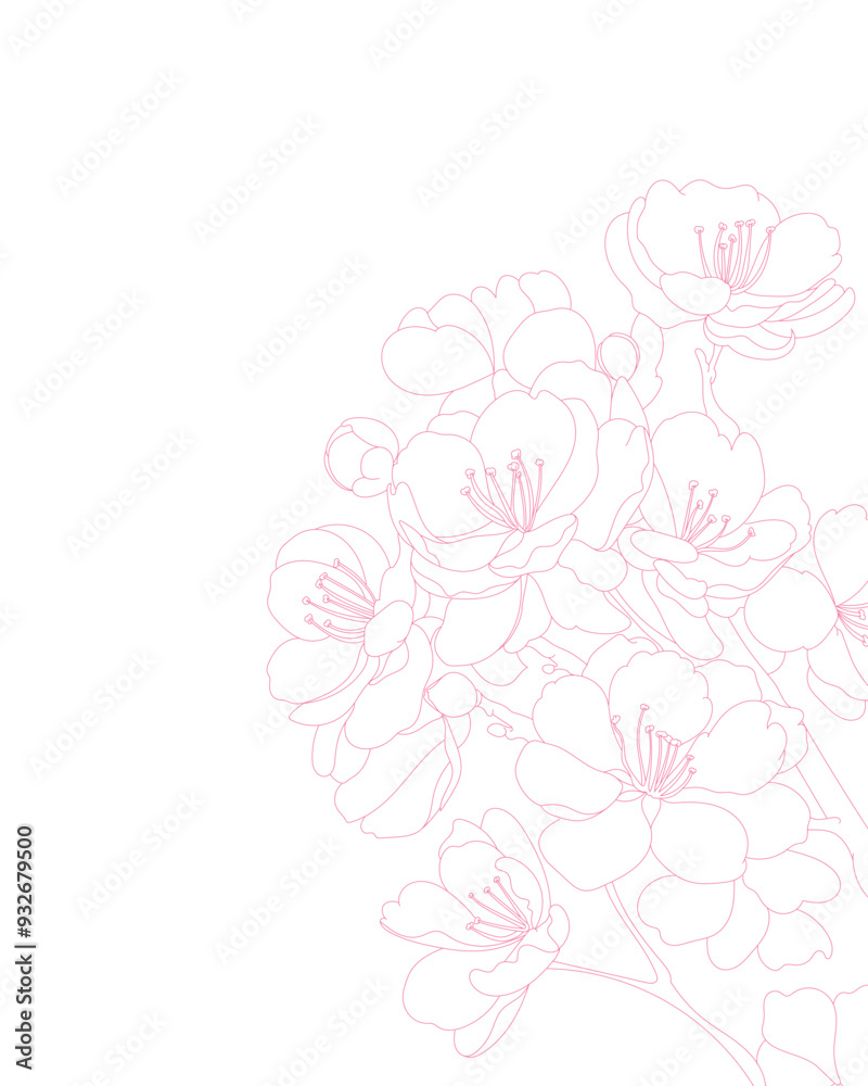 cherry blossoms are blooming beautifully, blown by the wind. pink line art cherry blossoms are blooming beautifully, blown by the wind. pink line art