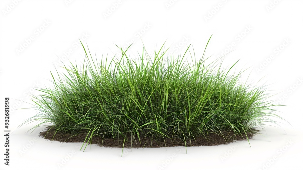 5. Isolated round patch of vibrant green grass, soil base, short grass blades, white background, minimalist composition, studio lighting, high contrast, 3D render, photorealistic, high detail, 5. Isolated round patch of vibrant green grass, soil base, short grass blades, white background, minimalist composition, studio lighting, high contrast, 3D render, photorealistic, high detail,