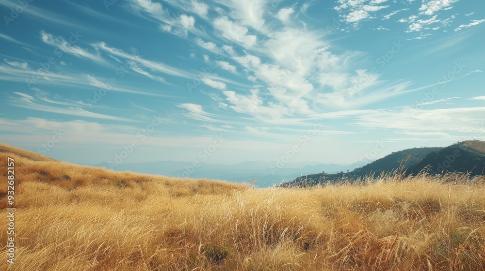 A sweeping view of a grassland on the mountaintop, with wispy clouds adding a gentle touch to the expansive sky above. A sweeping view of a grassland on the mountaintop, with wispy clouds adding a gentle touch to the expansive sky above.