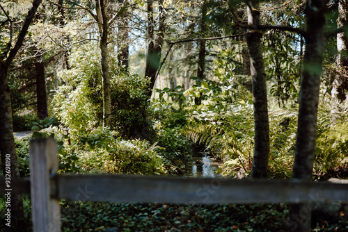 Nature Scenery with Ferns and Waterfall