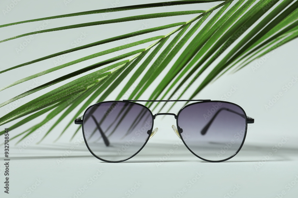Stylish sunglasses and palm leaf on grey background Stylish sunglasses and palm leaf on grey background