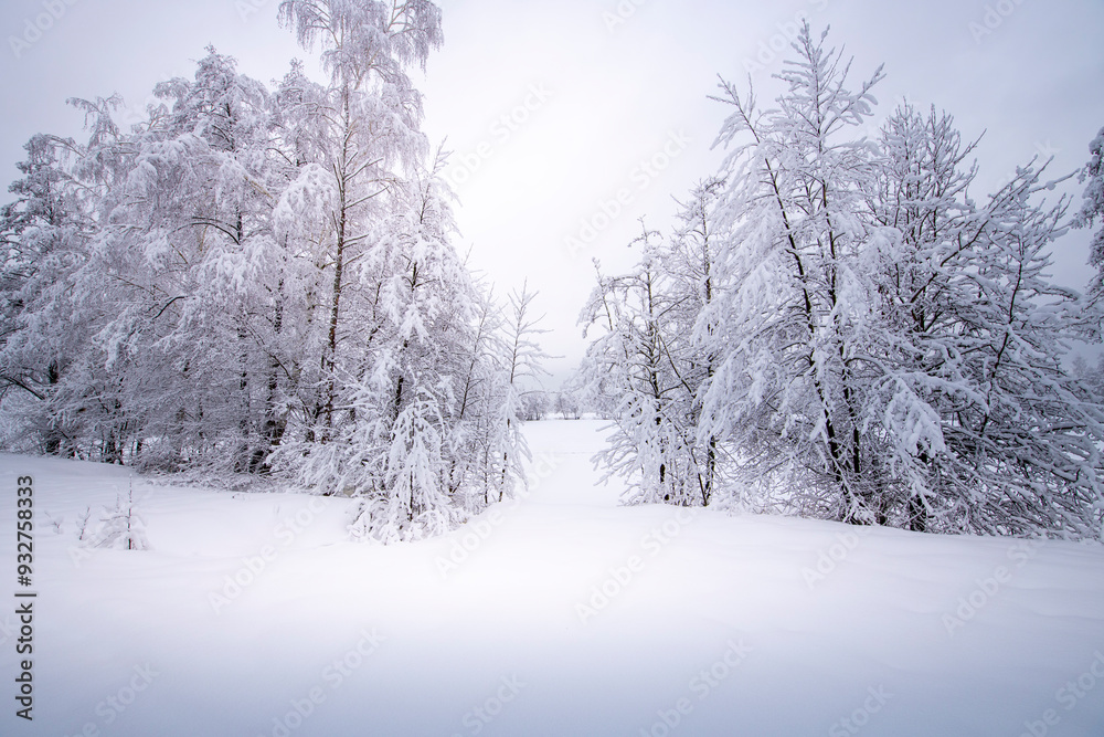 Obraz premium A snowy field with trees in the background