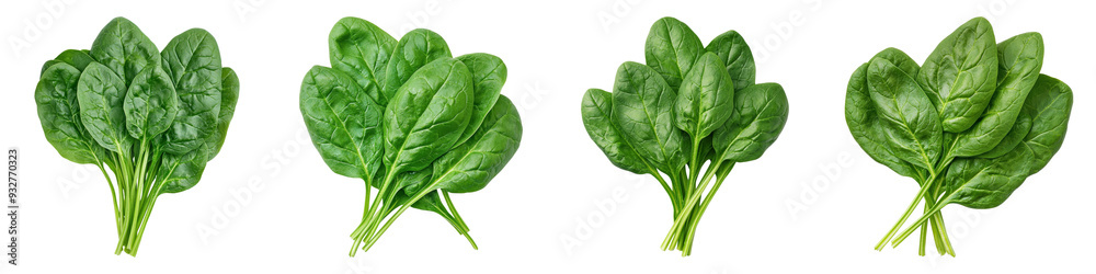 Fresh spinach leaves arranged in a row, perfect for healthy cooking and nutrition themes Fresh spinach leaves arranged in a row, perfect for healthy cooking and nutrition themes