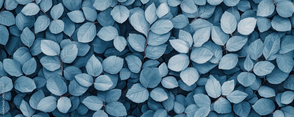Delicate Blue Leaves Create a Serene and Calm Background for Any Setting
