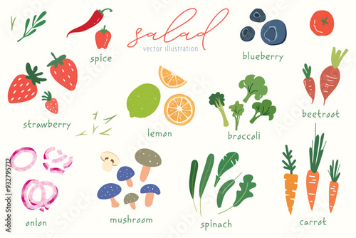 Salad elements. Fresh berry, carrot, herbs. Flat vector illustration