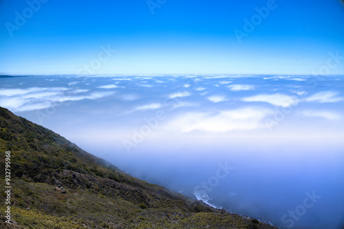 Exploring the Big Sur coastline on a foggy summer morning