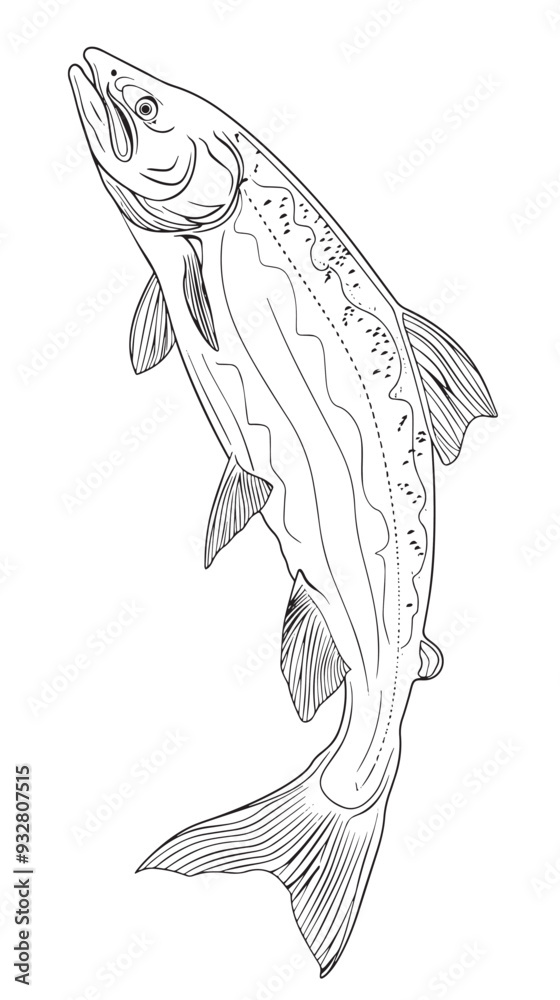 Obraz premium Salmon fish in continuous line art drawing style vector