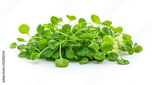 Bunch of microgreens on white background