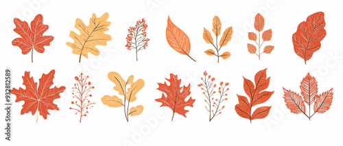 Collection of vector hand-drawn seasonal leaves featuring silhouettes of autumn leaves like maple and oak in rich orange and red hues on a white background Ideal for seasonal packaging, fall-themed