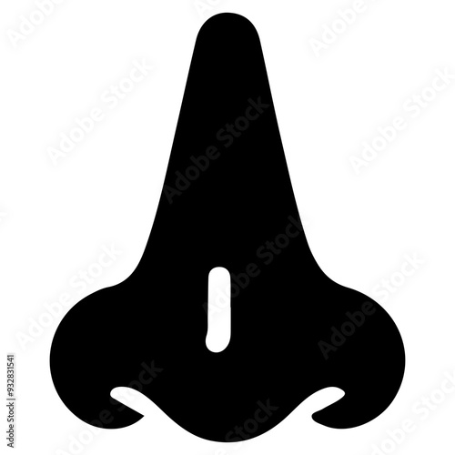 Nose