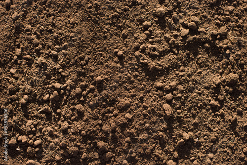 Fertile soil suitable for cultivation and agriculture.