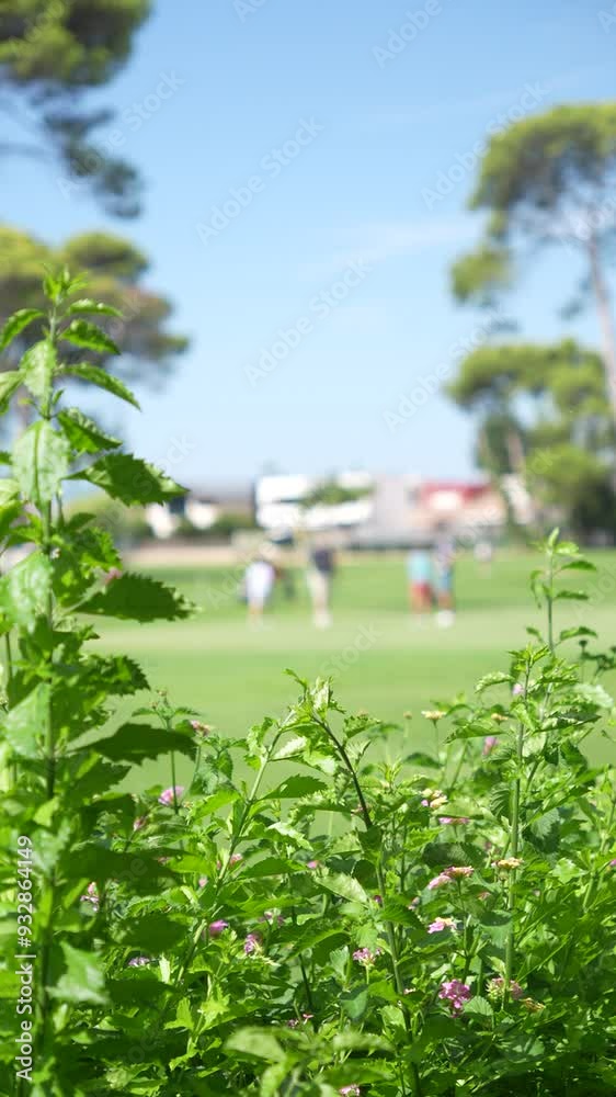 A lush green field with a few trees in the background. A couple of people are playing golf on the field A lush green field with a few trees in the background. A couple of people are playing golf on the field