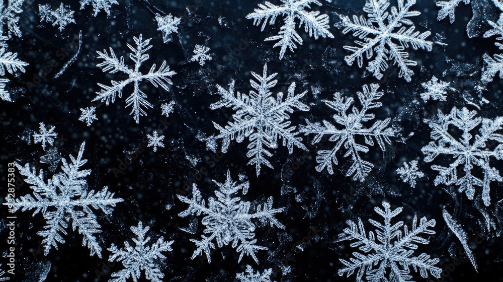 White snowflakes on a dark background, intricate and delicate, winter wonderland close-up White snowflakes on a dark background, intricate and delicate, winter wonderland close-up