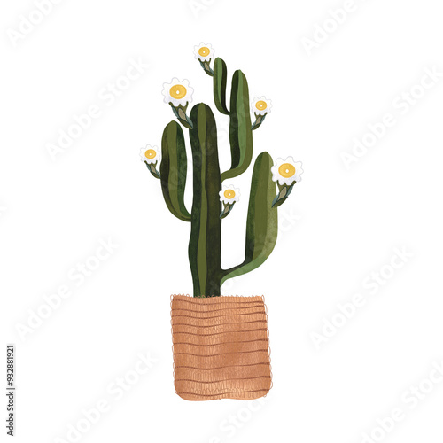 Cactus in a wicker basket. Plants for the home. Floriculture. Interior decoration. Isolated watercolor illustration on white background. Clipart. photo