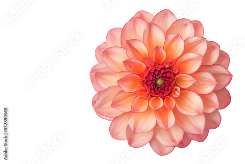 Close-up of peach dahlia flower with intricate petals

