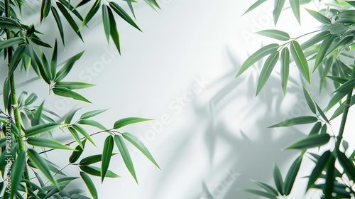 Bamboo foliage against a white background. Generative Ai