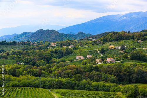 Veneto, Italy. Vineyards, Prosecco, Tuscan style farmhouses