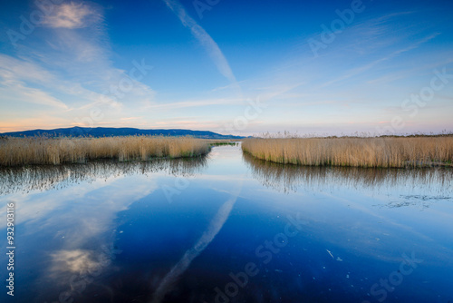 Tablas de Daimiel National Park, Ciudad Real, Castile-La Mancha, Spain, Europe