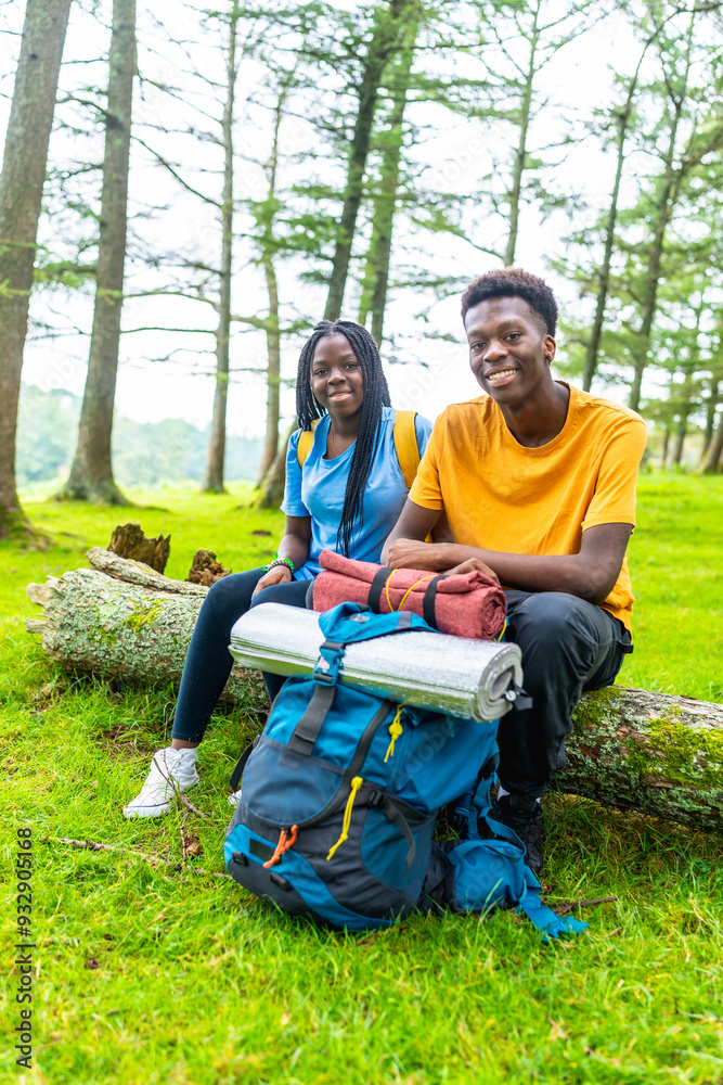 Fototapeta premium Friends smiling sitting on a log in a beauty forest