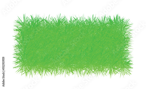 vector green grass  design template	
