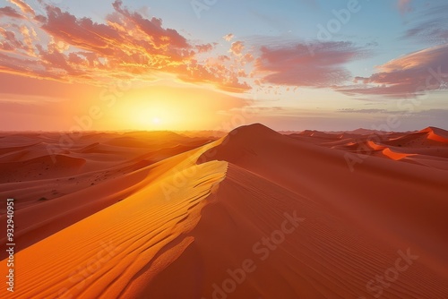 Travel in the Sahara