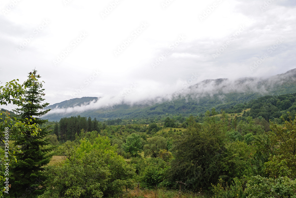 misty morning in the mountains misty morning in the mountains