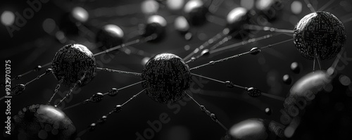 Close-up of a needle with thread on a spider web, showcasing a macro view of the needle and web with a black and white theme photo