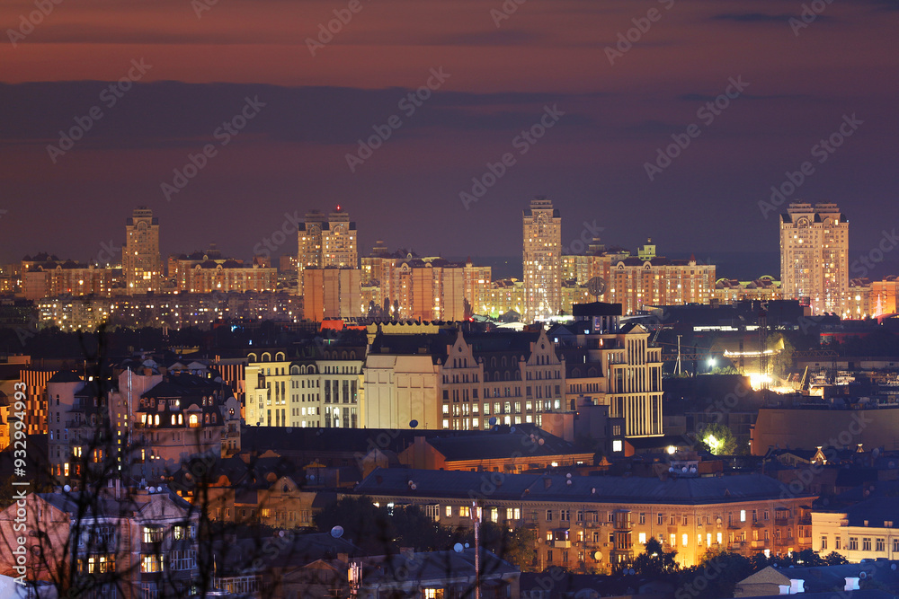 Obraz premium Night city. City landscape. Travel.