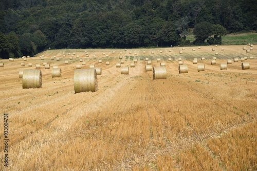 Ernte auf einem Feld photo