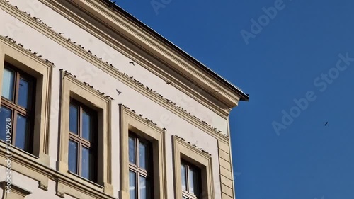 swallows fly to nests made of mud on the facade under the windows of the historic building. the wall of the house with cornices and stucco niches will become a spare rock cliff photo