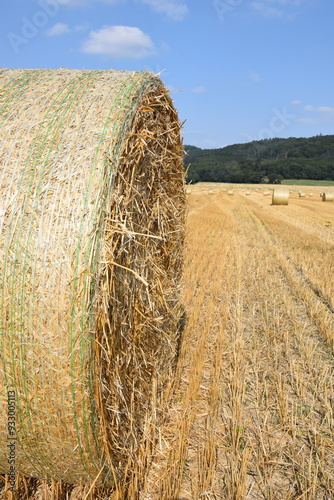 Ernte auf einem Feld