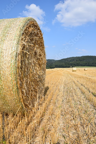 Ernte auf einem Feld photo