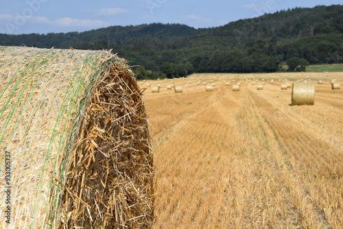 Ernte auf einem Feld