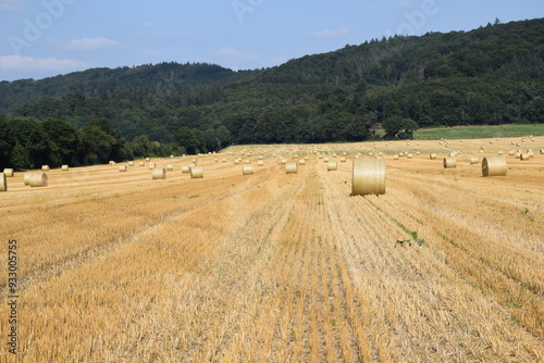 Ernte auf einem Feld photo