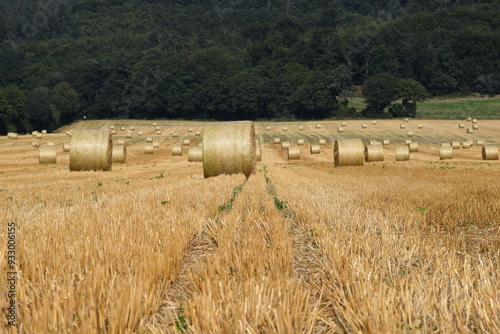 Ernte auf einem Feld