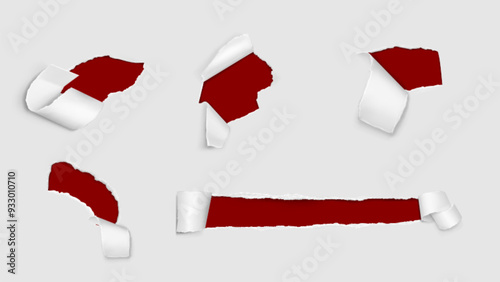 Torn paper holes with roll. Realistic vector illustration set of rip page frames. Reveal break cardboard sheet with grunge ragged edges with parchment scroll. Text and advertising message box.