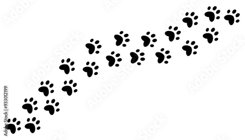 The trail of a pet's paw prints. Silhouette of a kitten's paw. Puppy's footprint, tiger's paw print. The outline of a cat's stride. Isolated on a white background.