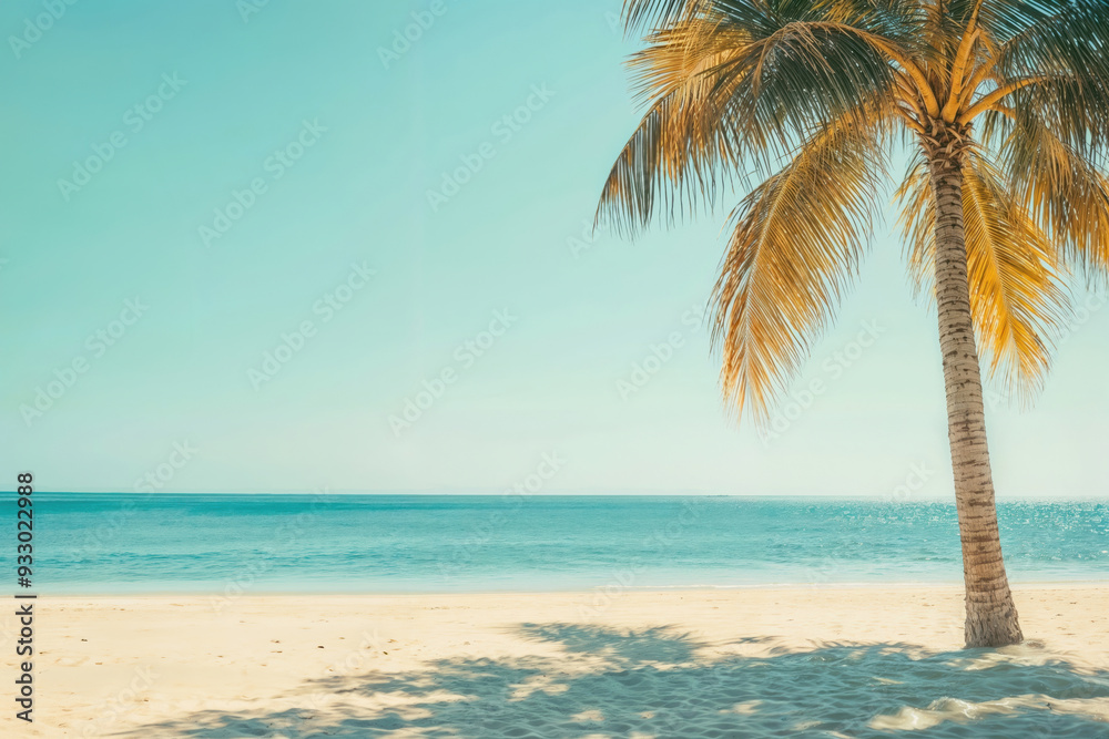 Beautiful beach with palm tree casting shadow on white sand. High quality photo Beautiful beach with palm tree casting shadow on white sand. High quality photo