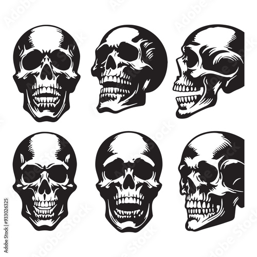 Iconic Skull Shadow Illustration