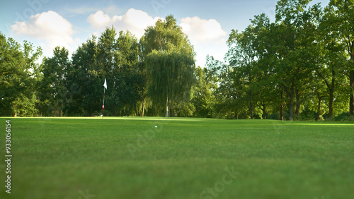 Serene Golf Course Green with Flag surrounded by lush trees and a clear sky. Perfect for illustrating relaxation, nature, and the sport of golf in a serene environment.